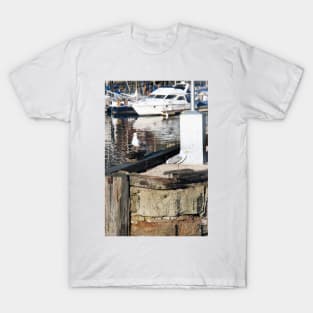 Scarborough Seagulls resting on the harbour wall, Yorkshire, UK T-Shirt